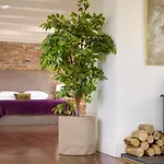 Courtyard بيت للعطل