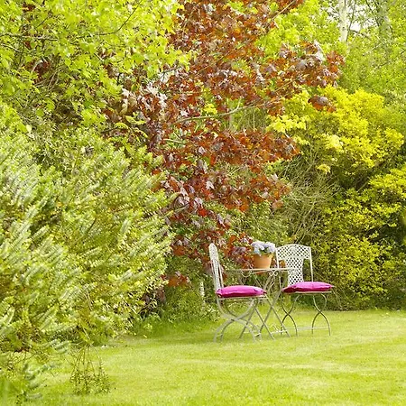 Courtyard טראלי