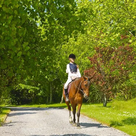 Courtyard * トラリー